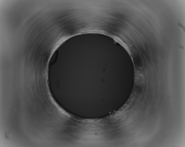 X0000091001005200708301330