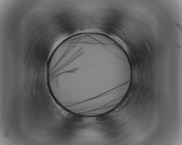 X0000091001006200708301330
