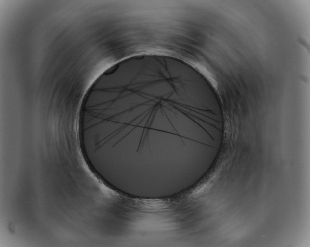 X0000091001007200708301330