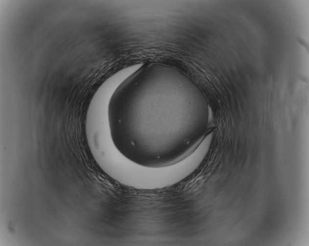X0000091001010200708301330