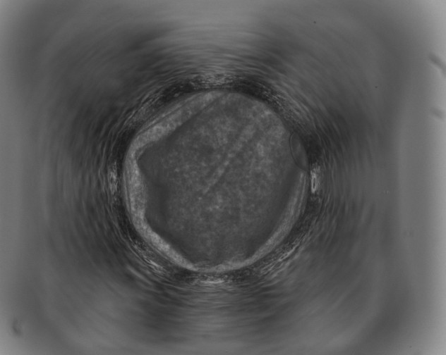 X0000091001011200708301330