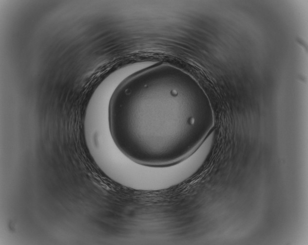 X0000091001014200708301330