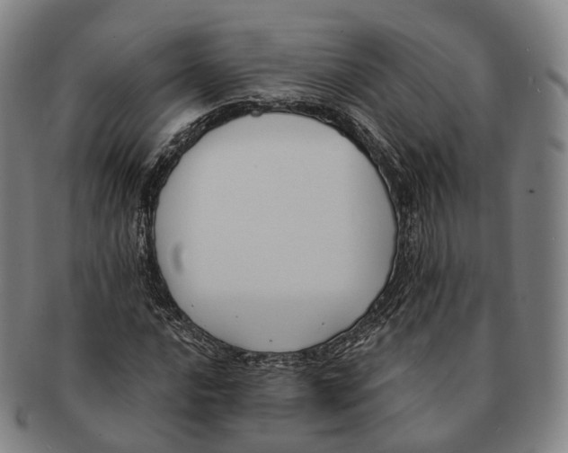 X0000091001016200708301330