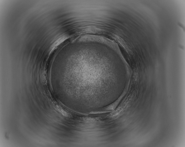 X0000091001018200708301330