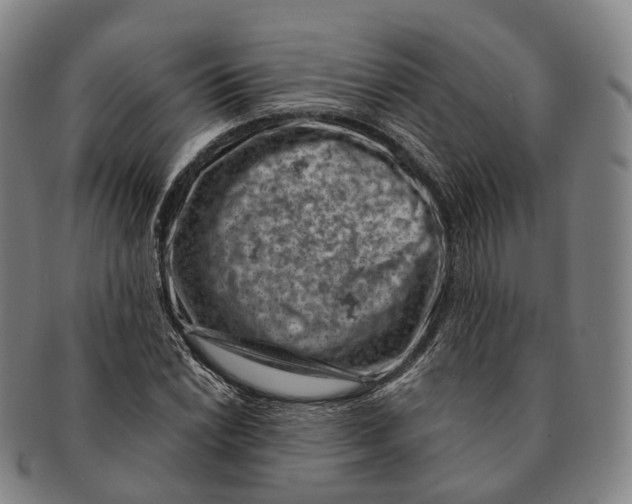 X0000091001022200708301330