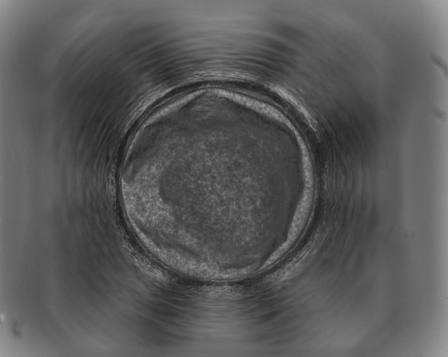 X0000091001025200708301330