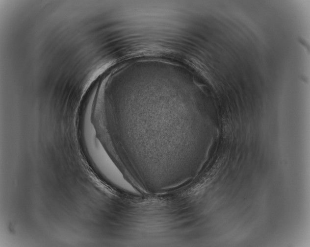 X0000091001026200708301330