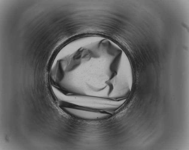 X0000091001029200708301330