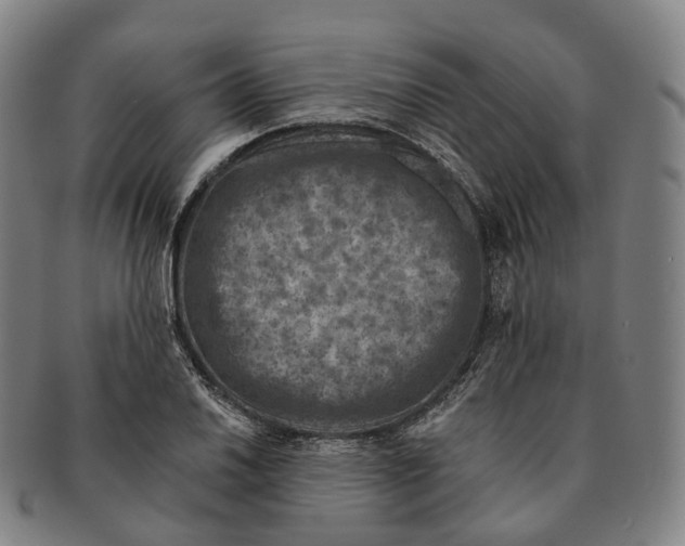 X0000091001030200708301330