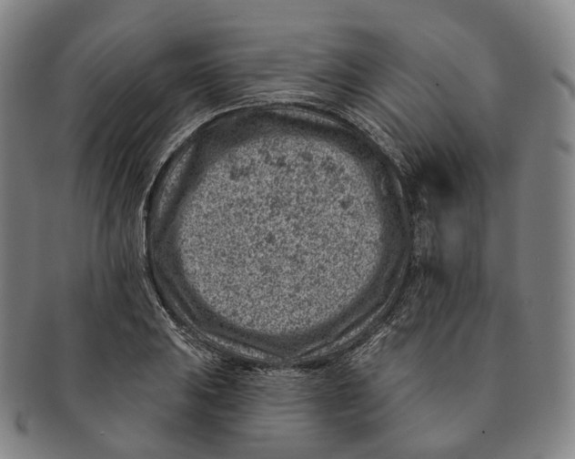X0000091001031200708301330