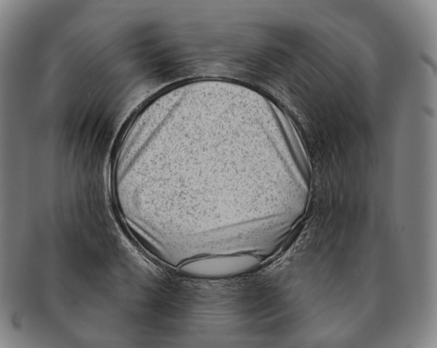 X0000091001032200708301330