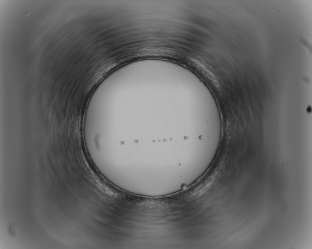 X0000091001033200708301330