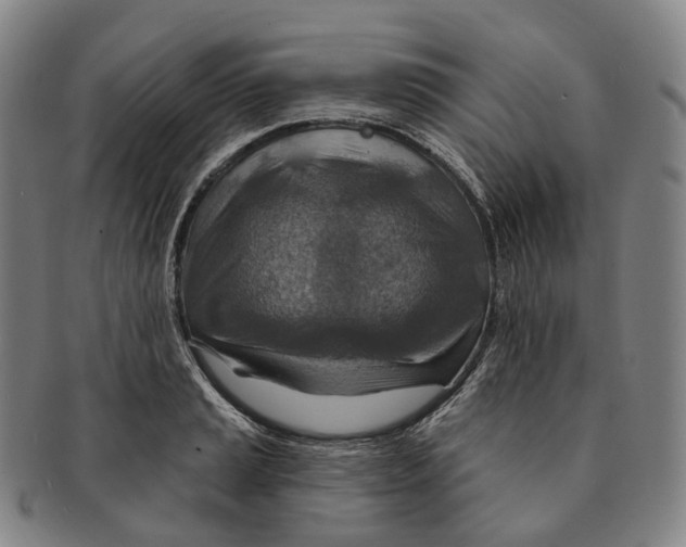 X0000091001037200708301330