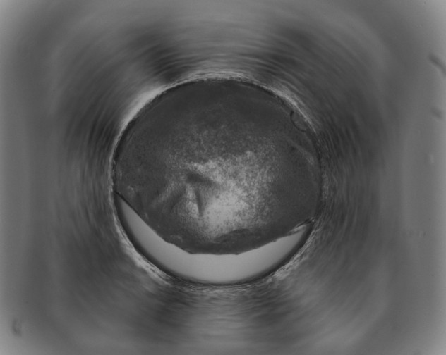 X0000091001038200708301330