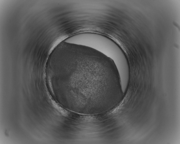 X0000091001042200708301330