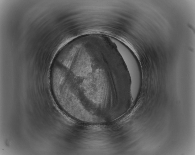 X0000091001045200708301330