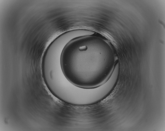 X0000091001046200708301330