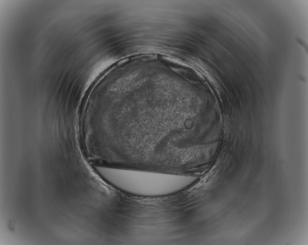 X0000091001048200708301330