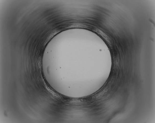 X0000091001049200708301330