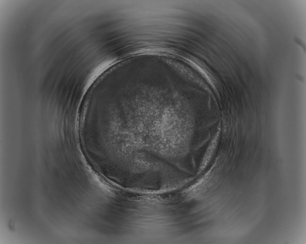 X0000091001050200708301330