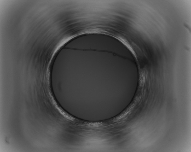 X0000091001053200708301330