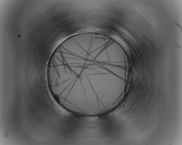 X0000091001055200708301330