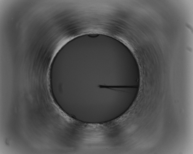 X0000091001056200708301330