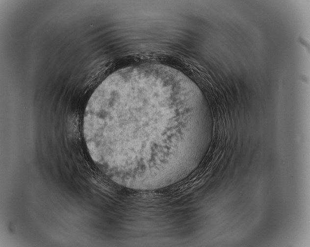 X0000091001060200708301330