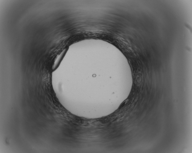 X0000091001061200708301330