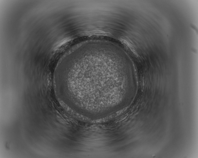 X0000091001063200708301330