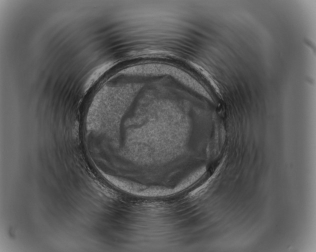 X0000091001066200708301329