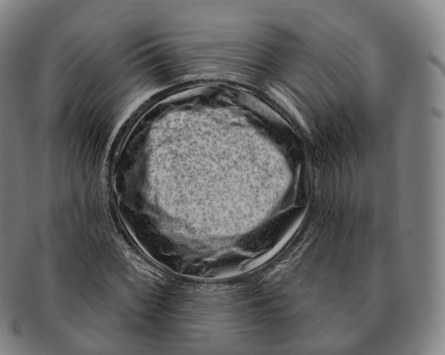 X0000091001068200708301329