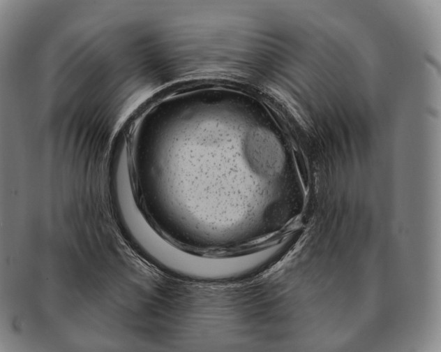 X0000091001069200708301329