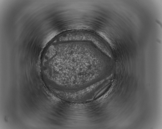X0000091001071200708301329