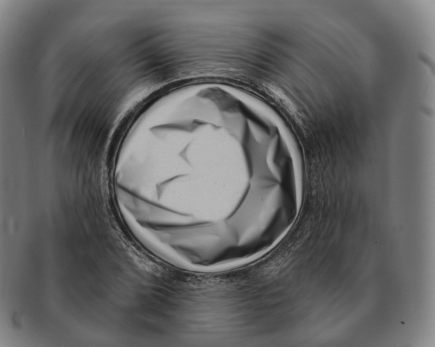 X0000091001072200708301329