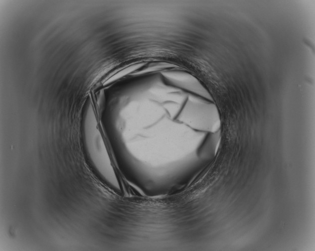 X0000091001073200708301329