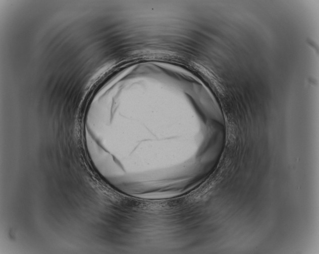 X0000091001074200708301329