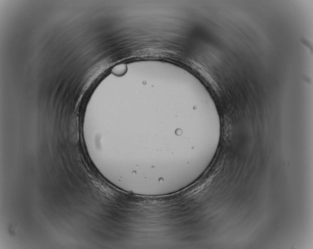 X0000091001075200708301329