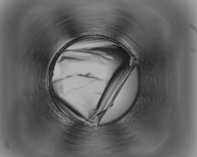 X0000091001076200708301329