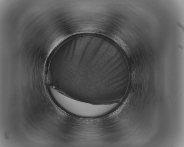 X0000091001077200708301329