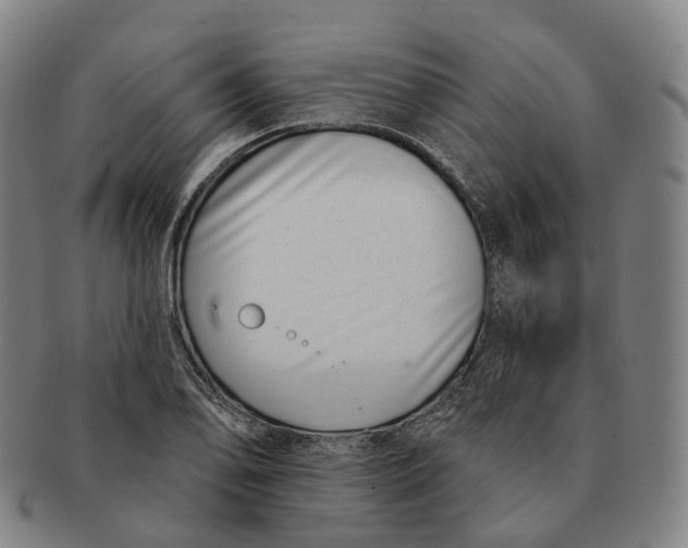 X0000091001078200708301329