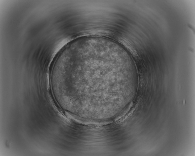 X0000091001079200708301329