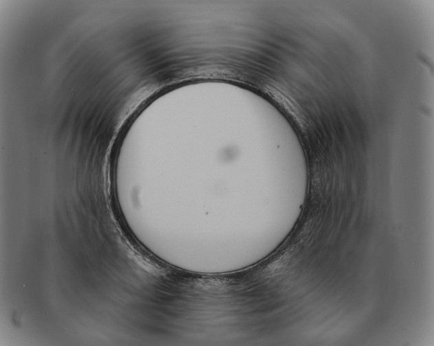 X0000091001082200708301329