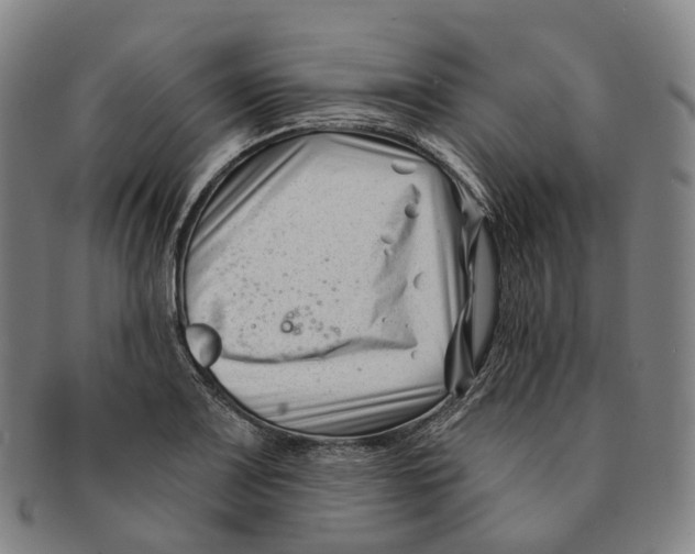 X0000091001083200708301329