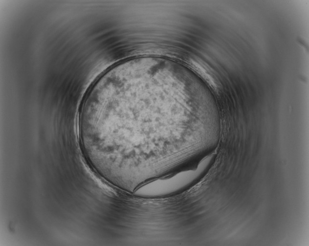 X0000091001084200708301329
