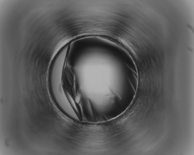 X0000091001085200708301329