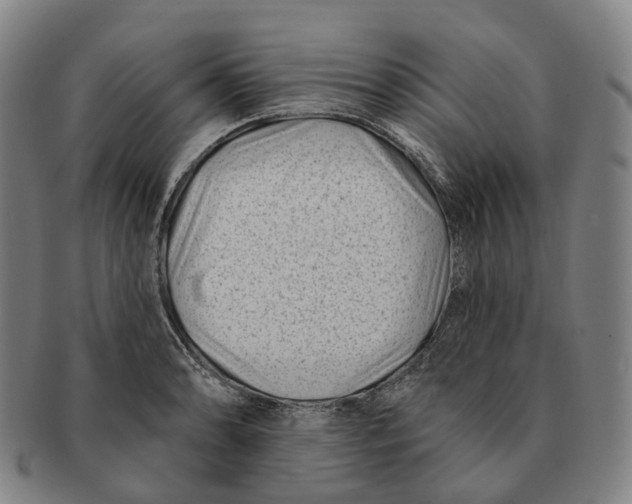 X0000091001086200708301329