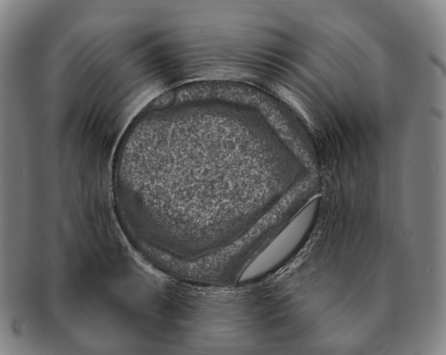 X0000091001087200708301329