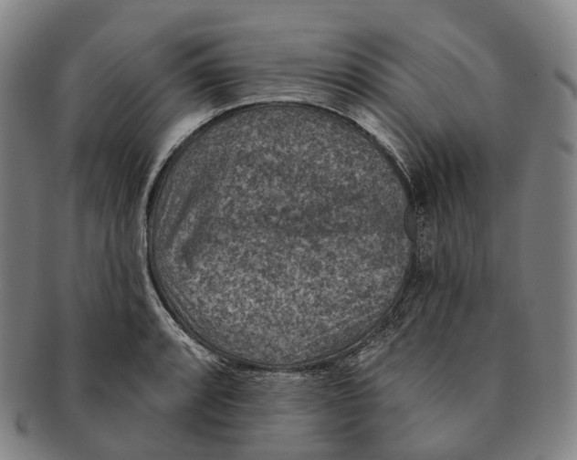 X0000091001088200708301329