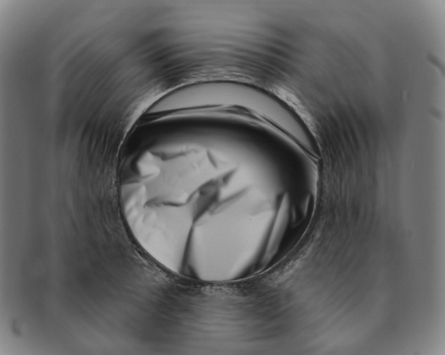 X0000091001089200708301329